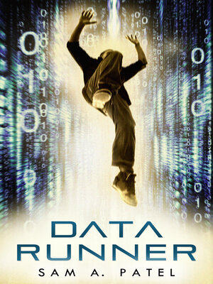 cover image of Data Runner